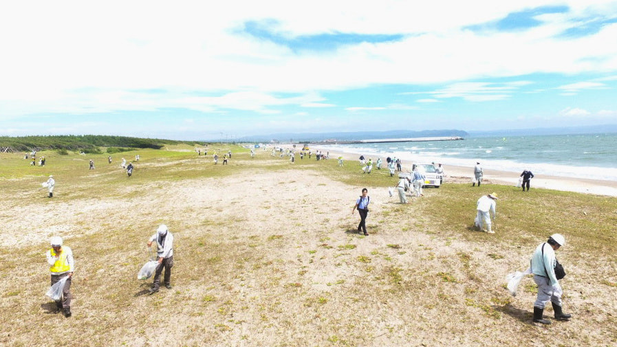 海岸のごみを拾う清掃活動の様子