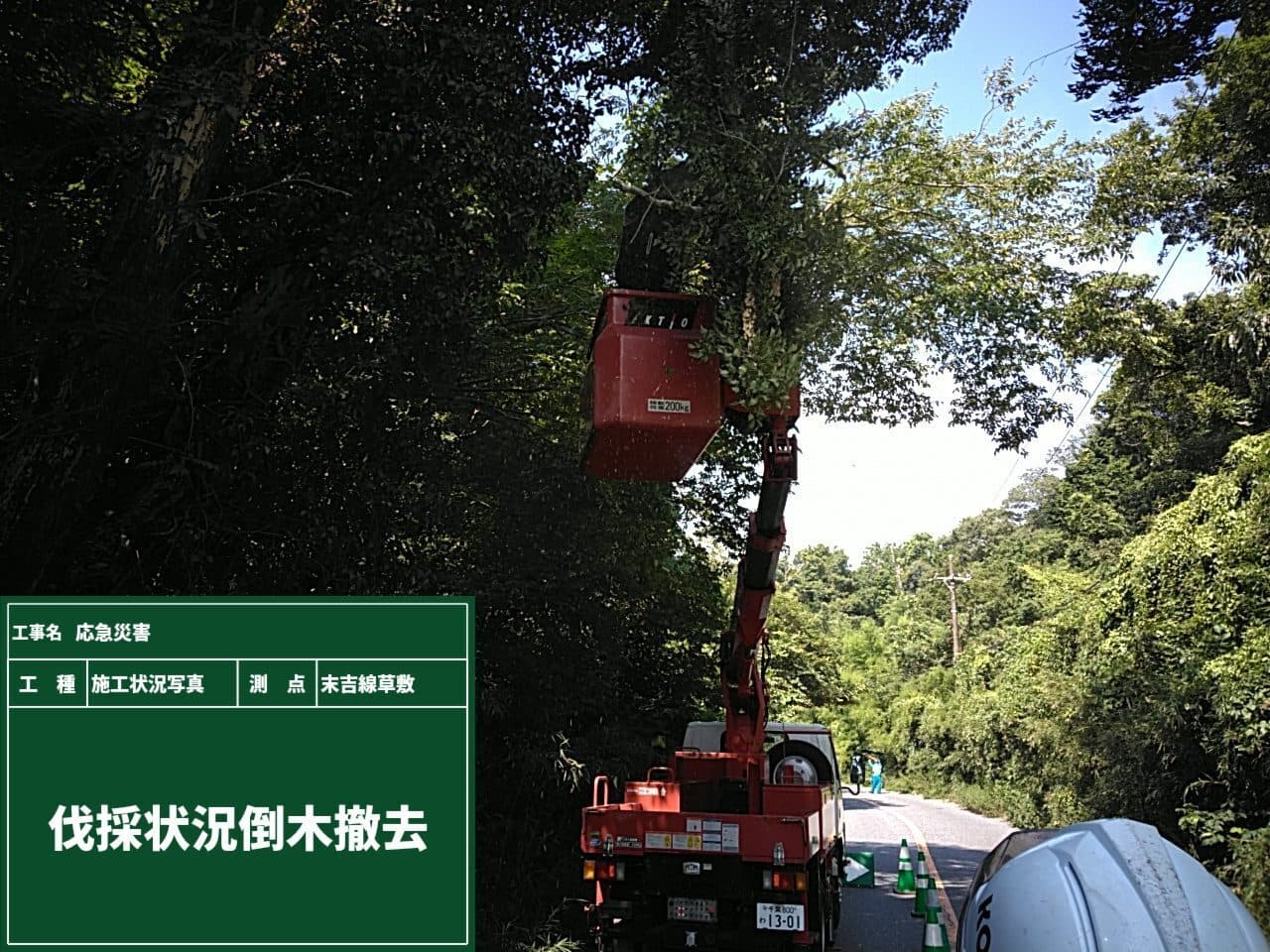 倒木を重機で撤去している様子